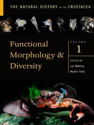 cover image of Functional Morphology and Diversity